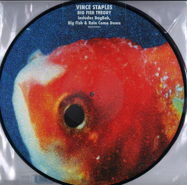 VINCE STAPLES - BIG FISH THEORY (2LP PIC DISC) VINYL