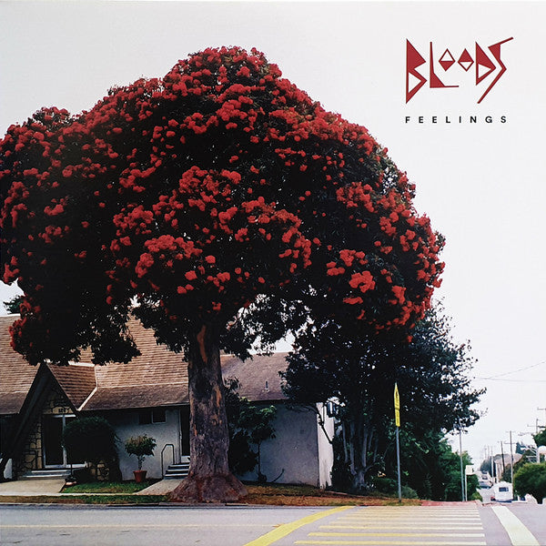 BLOODS - FEELINGS VINYL