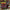 VARIOUS - SOMETHING WEIRD SPOOK SHOW SPECTACULAR (COLOURED LP + DVD) VINYL