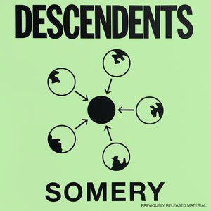 DESCENDENTS - SOMERY (2LP) VINYL