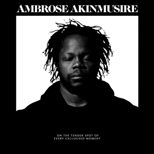 AMBROSE AKINMUSIRE - ON THE TENDER SPOT OF EVERY CALLOUSED MOMENT VINYL
