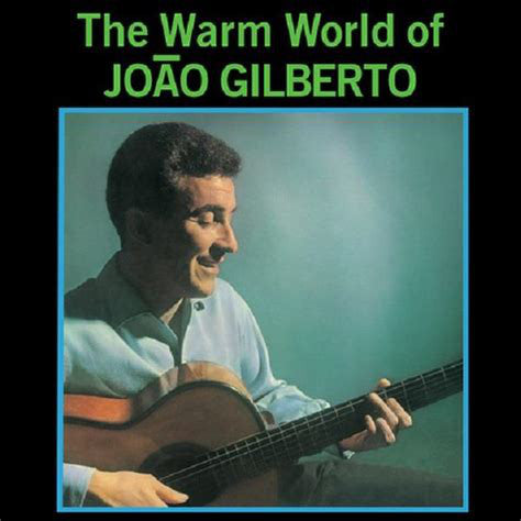 JOAO GILBERTO - THE WARM WORLD OF VINYL