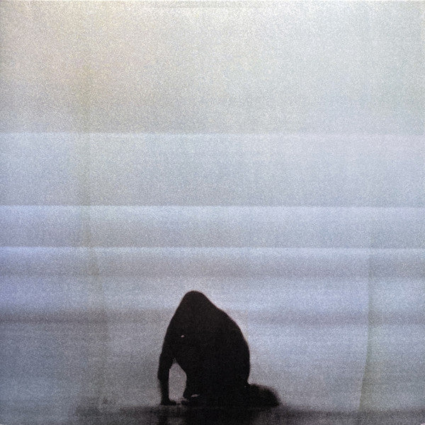 FOALS - WHAT WENT DOWN VINYL