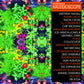 VARIOUS - KALEIDOSCOPE: NEW SPIRITS KNOWN & UNKNOWN (3LP) VINYL