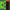 VARIOUS - KALEIDOSCOPE: NEW SPIRITS KNOWN & UNKNOWN (3LP) VINYL