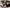 BLAZE FOLEY - DAWG YEARS CD