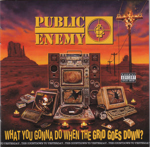 PUBLIC ENEMY - WHAT YOU GONNA DO WHEN THE GRID GOES DOWN VINYL