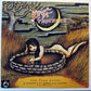 DRIVE-BY TRUCKERS - THE FINE PRINT: A COLLECTION OF ODDITIES AND RARITIES 2003-2008 (2LP COLOURED) VINYL
