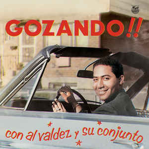 AL VALDEZ - GOZANDO VINYL