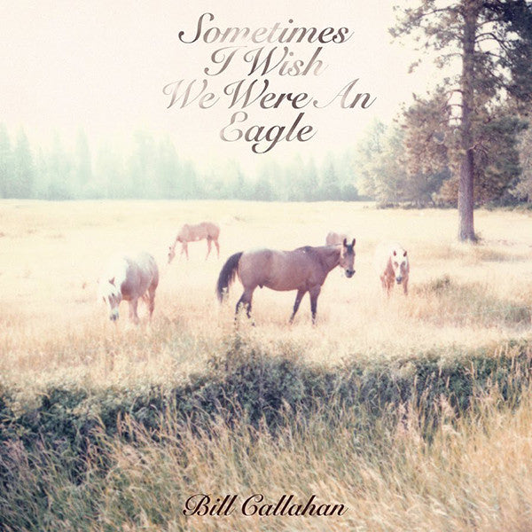 BILL CALLAHAN - SOMETIMES I WISH WE WERE AN EAGLE VINYL