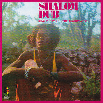 KING TUBBY - SHALOM DUB VINYL