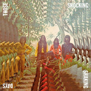 VARIOUS - THOSE SHOCKING SHAKING DAYS: INDONESIAN HARD, PSYCHEDELIC, PROGRESSIVE-ROCK & FUNK 1970-1978 (3LP) VINYL