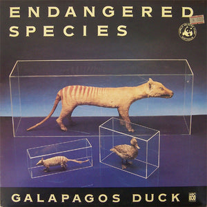 GALAPAGOS DUCK - ENDANGERED SPECIES (USED VINYL 1985 AUS M-/EX)
