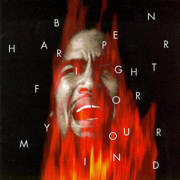 BEN HARPER - FIGHT FOR YOUR MIND (2LP) VINYL