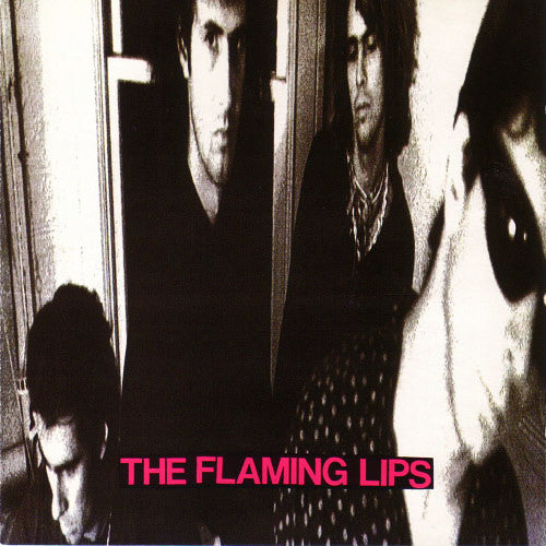 FLAMING LIPS - IN A PRIEST DRIVEN AMBULANCE VINYL