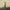 ELYSE WEINBERG - GREASEPAINT SMILE VINYL
