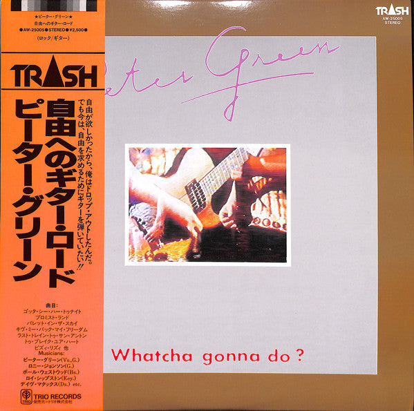 PETER GREEN - WHATCHA GONNA DO? (USED VINYL 1981 JAPAN M-/EX+)