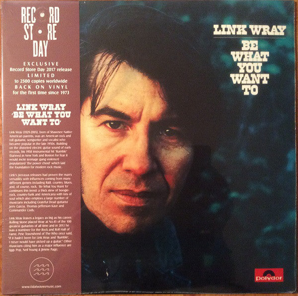 LINK WRAY - BE WHAT YOU WANT TO VINYL