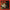 SCREAMIN' JAY HAWKINS - WHAT THAT IS! (FLUORO ORANGE COLOURED) VINYL RSD 2020