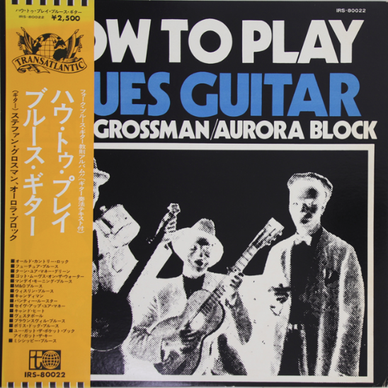 STEFAN GROSSMAN & AURORA BLOCK - HOW TO PLAY BLUES GUITAR (USED VINYL 1976 JAPAN M-/M-)