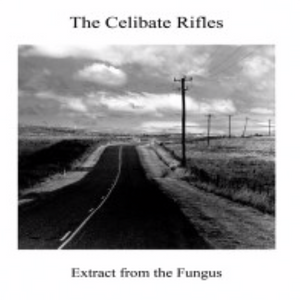 CELIBATE RIFLES - EXTRACT FROM THE FUNGUS VINYL