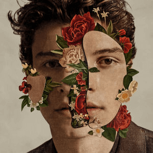 SHAWN MENDES - SELF TITLED VINYL