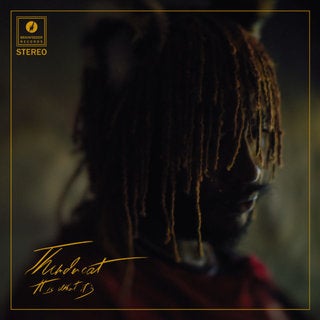 THUNDERCAT - IT IS WHAT IT IS VINYL
