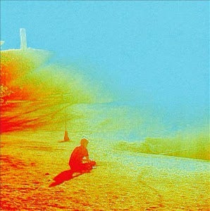 FLAMING LIPS - THE TERROR VINYL
