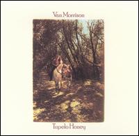 VAN MORRISON - TUPELO HONEY (USED VINYL 1981 CANADIAN EX+/EX+)