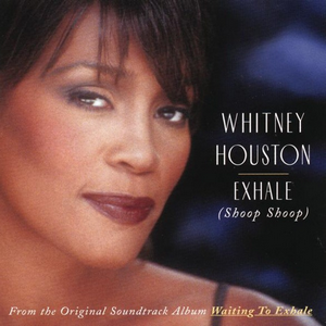 WHITNEY HOUSTON - EXHALE (SHOOP SHOOP) (USED VINYL STILL SEALED)
