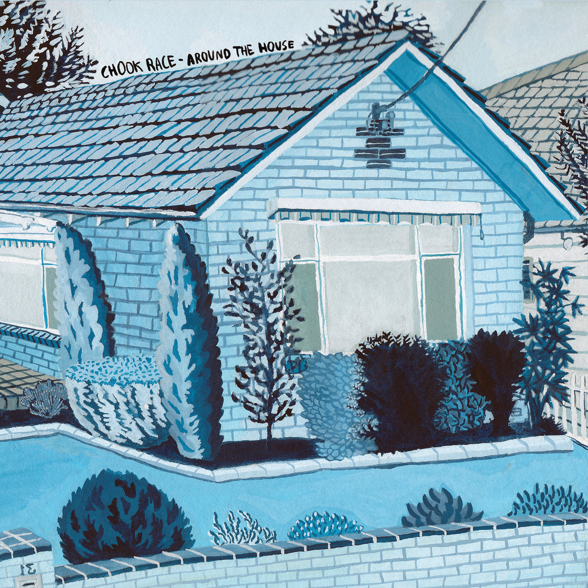 CHOOK RACE - AROUND THE HOUSE VINYL