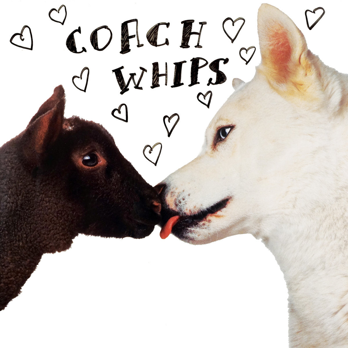 COACHWHIPS - BANGERS VS FUCKERS VINYL