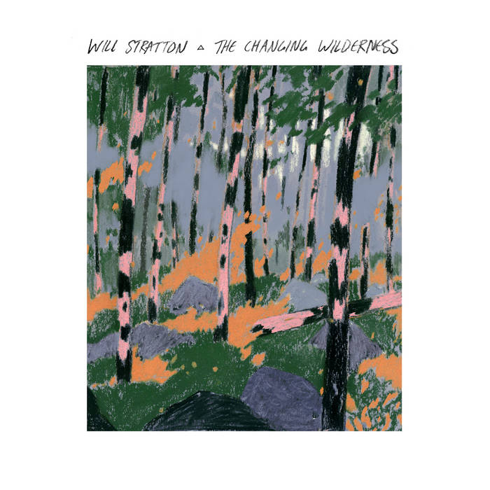 WILL STRATTON - THE CHANGING WILDERNESS (BLUE COLOURED) VINYL