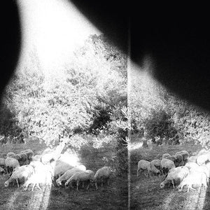 GODSPEED YOU! BLACK EMPEROR - ASUNDER SWEET AND OTHER DISTRESS (INCLUDES POSTER) VINYL