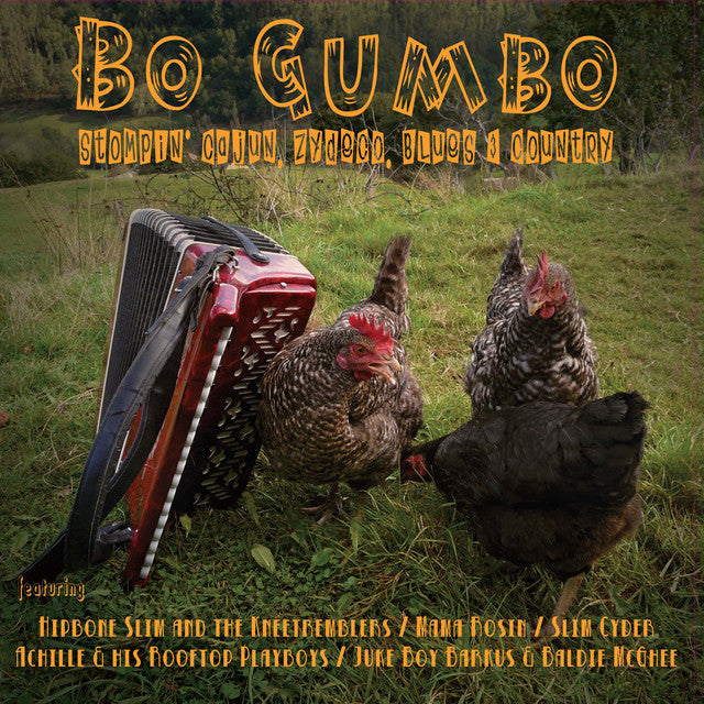 VARIOUS ARTISTS - BO GUMBO: STOMPIN' CAJUN, ZYDECO, BLUE AND COUNTRY VINYL