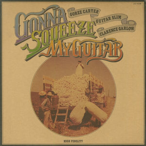 VARIOUS - GONNA SQUEEZE MY GUITAR (USED VINYL 1979 JAPAN M-/M-)