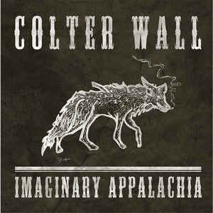 COLTER WALL - IMAGINARY APPALACHIA VINYL