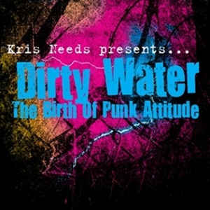 VARIOUS - DIRTY WATER: THE BIRTH OF PUNK ATTITUDE (2LP) VINYL