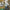 DJ SHADOW - ENDTRODUCING (25th ANNIVERSARY) (2LP) VINYL
