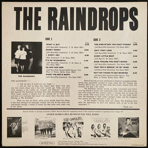 RAINDROPS - THE RAINDROPS (USED VINYL 1985 US M-/M-)