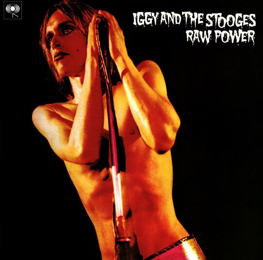 IGGY AND THE STOOGES - RAW POWER (2LP) VINYL