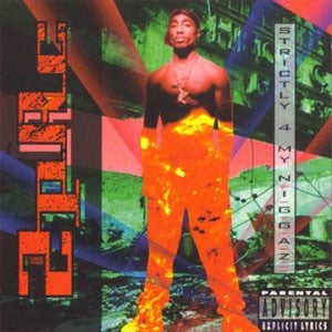 2PAC - STRICTLY 4 MY NIGGAZ (2LP) VINYL