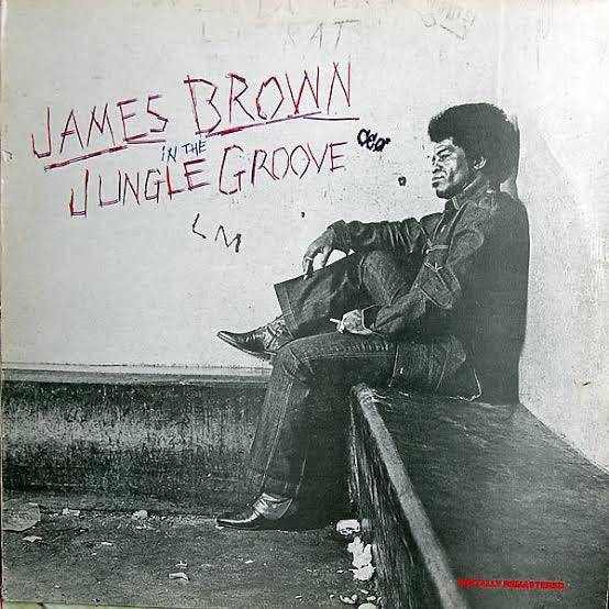 JAMES BROWN - IN THE JUNGLE GROOVE (2LP) VINYL