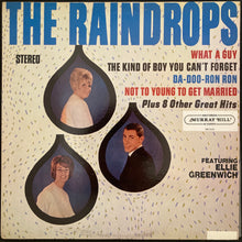 Load image into Gallery viewer, RAINDROPS - THE RAINDROPS (USED VINYL 1985 US M-/M-)
