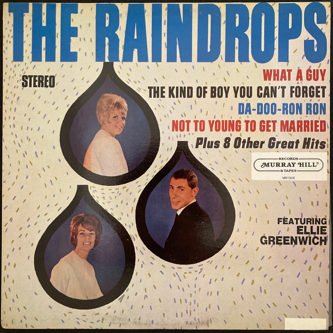 RAINDROPS - THE RAINDROPS (USED VINYL 1985 US M-/M-)