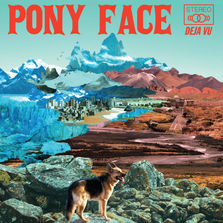 PONY FACE - DíŠJíó VU VINYL