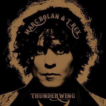 MARC BOLAN AND T.REX - THUNDERWING VINYL