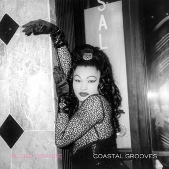BLOOD ORANGE - COASTAL GROOVES VINYL