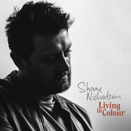 SHANE NICHOLSON - LIVING IN COLOUR VINYL