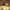 TAYLOR SWIFT - FEARLESS: TAYLOR'S VERSION (GOLD COLOURED) (3LP) VINYL